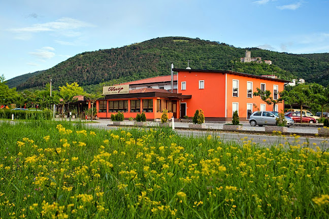 Opinii despre Ošterija Branik Patricija Furlan s.p. în Branik - Gastronomija in gostinstvo