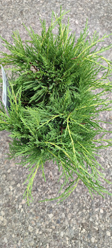 Kmetijska zadruga Trebnje z.o.o. - Gastronomija in gostinstvo