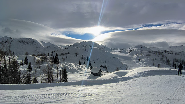 Comentarii opinii despre Orlove glave