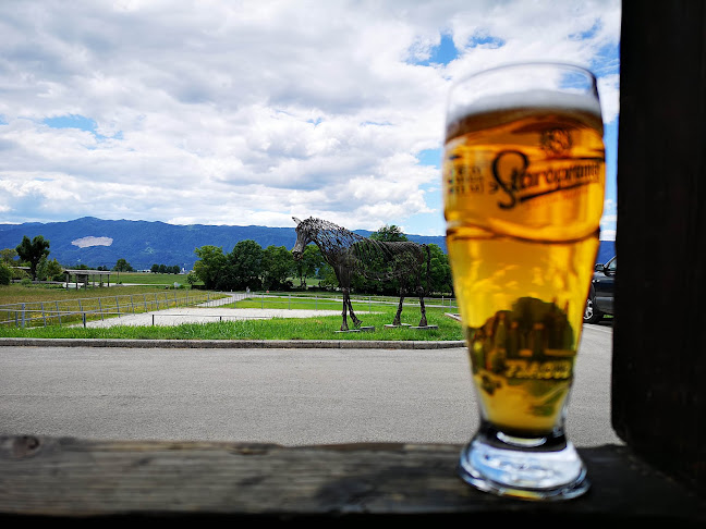 Gostinstvo Rudi Hrovat s.p. Kmetija in bar Brsca - Gastronomija in gostinstvo