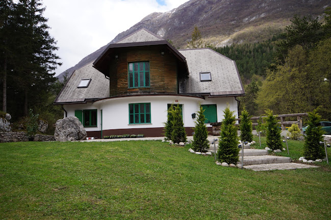 Comentarii opinii despre Casa Monte