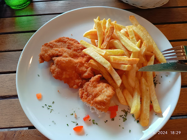 Comentarii opinii despre Gostilna s Pizzerijo Pri Peku