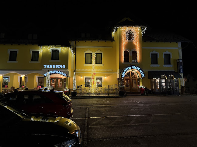 Opinii despre Restaurant in Pizzeria Kotnik în Kranjska Gora - Gastronomija in gostinstvo