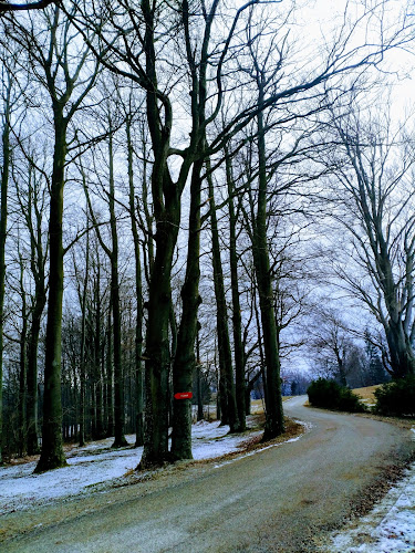 Kal 11, 1431 Dol pri Hrastniku