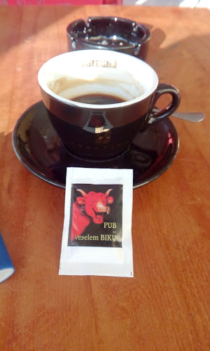 PUB PRI VESELEM BIKU, - Prebold