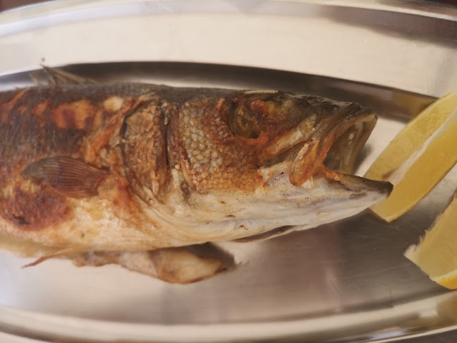 Comentarii opinii despre Ladja Podlanica Piran