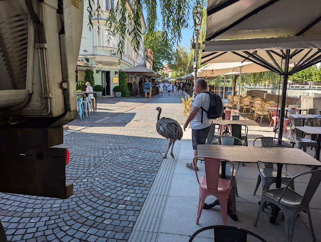 Vizija Gostinstvo d.o.o. - Gastronomija in gostinstvo