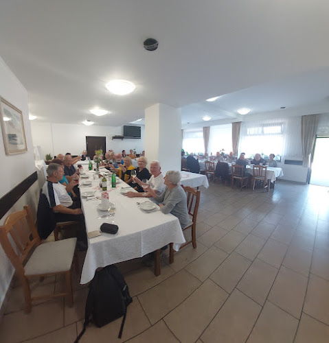 Comentarii opinii despre Restavracija Fink