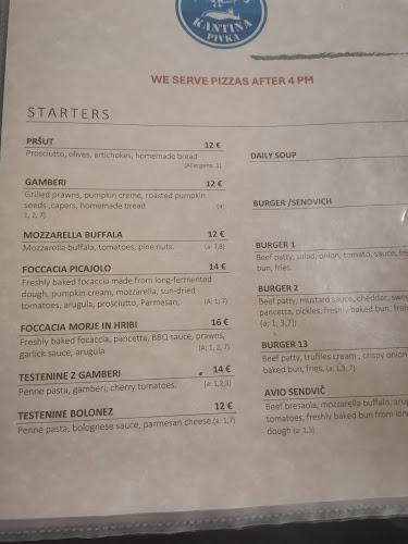 Comentarii opinii despre Aviopub