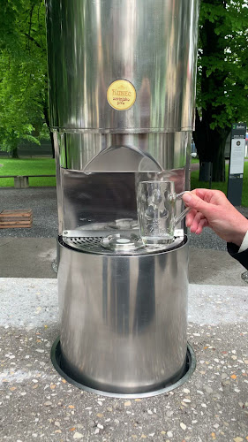 Fontana piva Zeleno zlato