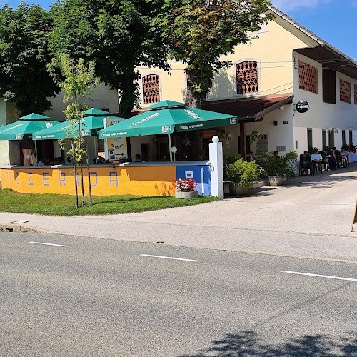 Comentarii opinii despre Pod Kostanji