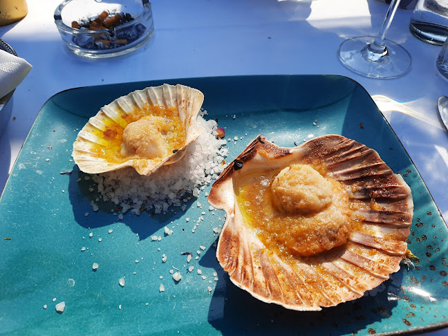 Opinii despre GOSTINSTVO IN TURIZEM ROBERT GRAHOR S.P. în Sežana - Gastronomija in gostinstvo