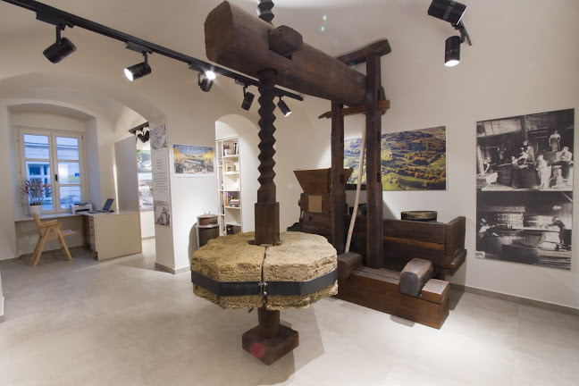 Enoteka Ljutomer, Vinopolis d.o.o. - Ljutomer