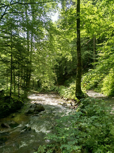 Zgornja Bistrica 69, 2310 Slovenska Bistrica