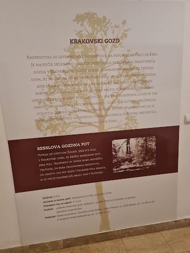 Gostilna Žolnir, gostinstvo, turizem in storitve, d.o.o. - Kostanjevica na Krki