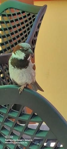 1360, Tržaška cesta 4, 1360 Vrhnika