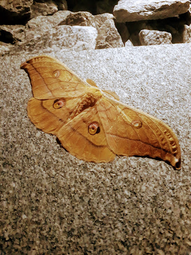 Veliki Slatnik 15, 8000 Novo mesto