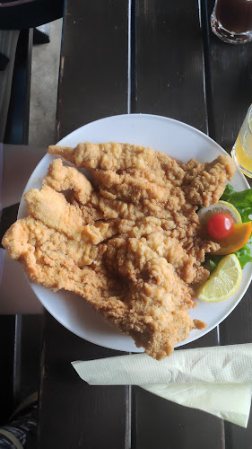 Opinii despre Gostilna pri Kranjcu Franci Tomažič s.p. în Vrhnika - Gastronomija in gostinstvo