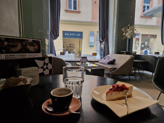 Kavarna Zvezda, Hotel Slon