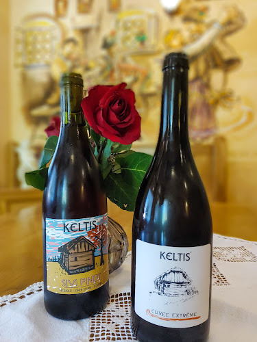 Lenartova pot 22a, 8250 Brežice