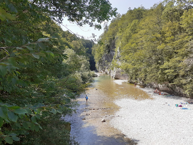 Comentarii opinii despre Bife Z'Der Klemen Plesničar s.p.