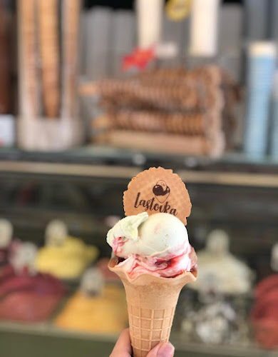 Lastovka pri SERŠ-u - Maribor