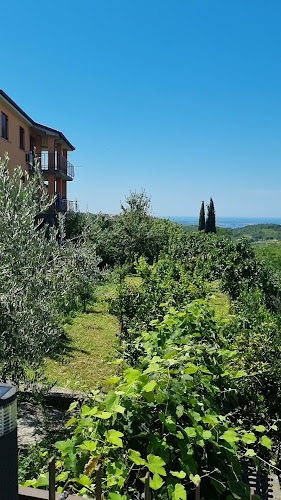 Fuoriseria Šared - Izola