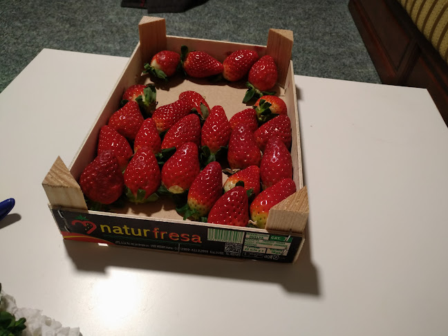 Storks, d.o.o., PE Bar Office 28, Ljubljana