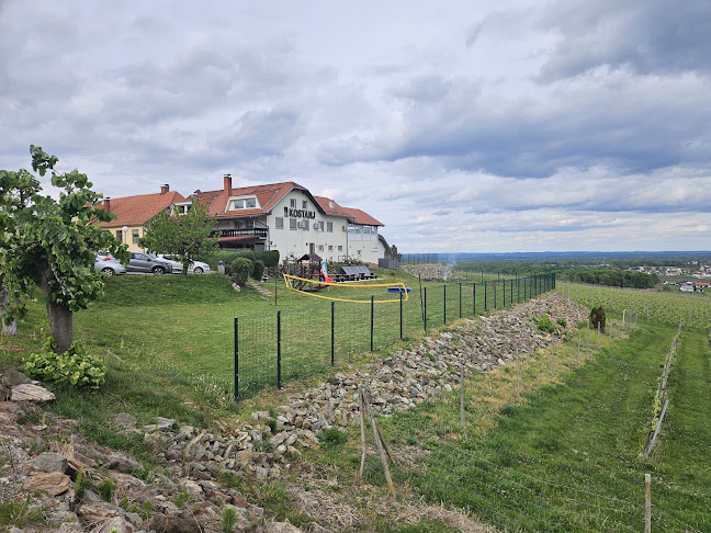 Comentarii opinii despre Gostilna, picerija in pivovarna Kostanj