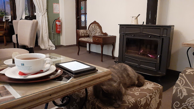 Sladka Kavarna - Gastronomija in gostinstvo