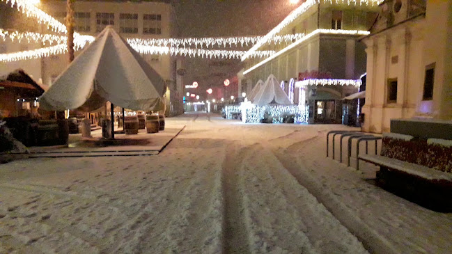 Opinii despre Pri Florjanu în Maribor - Gastronomija in gostinstvo