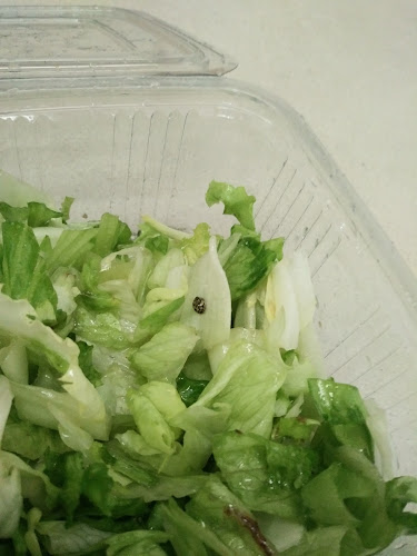 Mateja Gostinstvo In Storitve D.O.O.