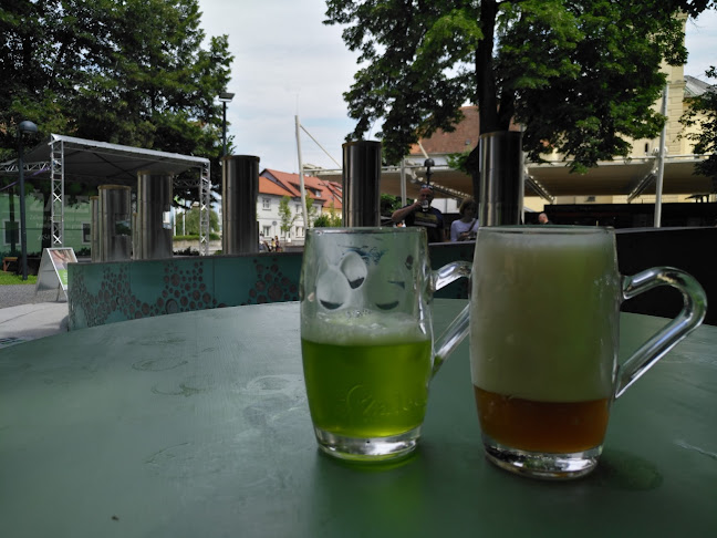Opinii despre Fontana piva Žalec în Žalec - Gastronomija in gostinstvo