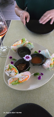 Comentarii opinii despre Shambala