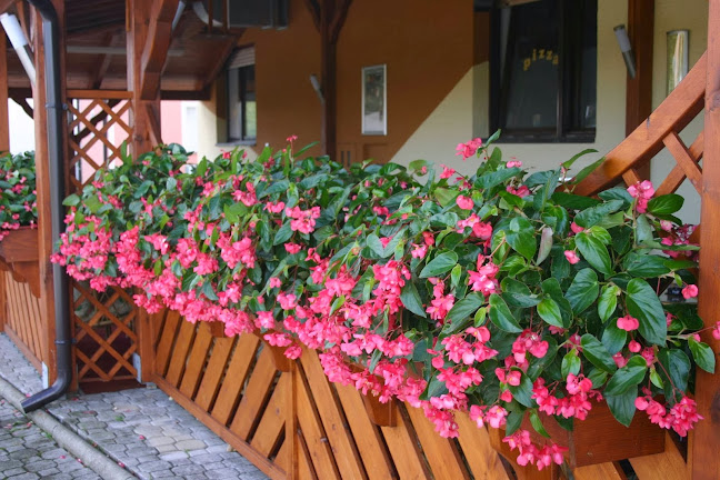 Comentarii opinii despre Gostilna Spirić