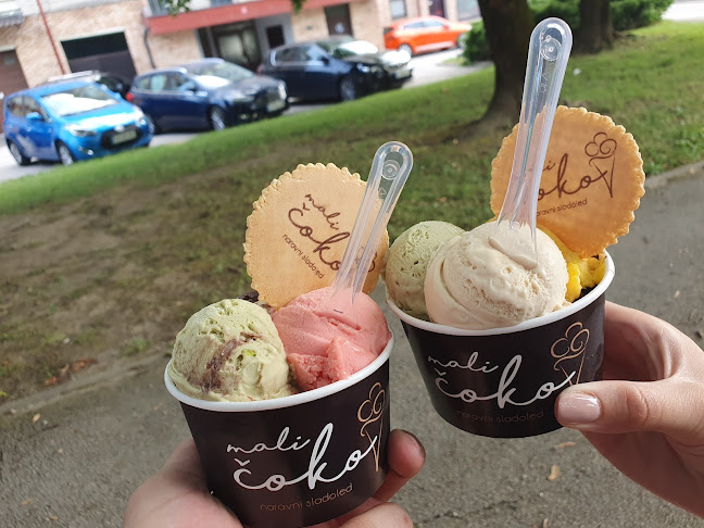 Comentarii opinii despre Mali čoko d.o.o., proizvodnja in prodaja naravnega sladoleda