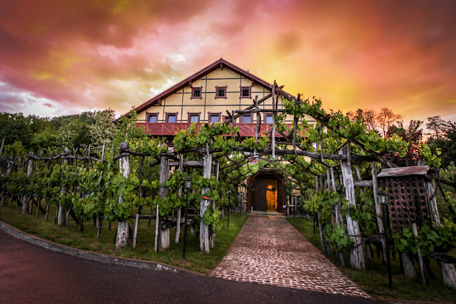 Jernej Frangež - vinotoč - Gastronomija in gostinstvo
