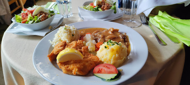 Comentarii opinii despre Restavracija Fink