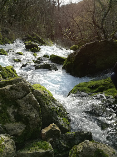 Gostilnica Toč - Gastronomija in gostinstvo