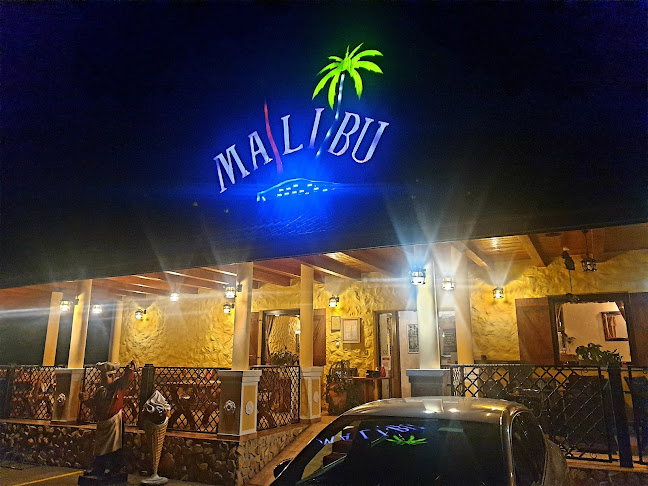 Comentarii opinii despre Okrepčevalnica in pizzerija Malibu Kapca