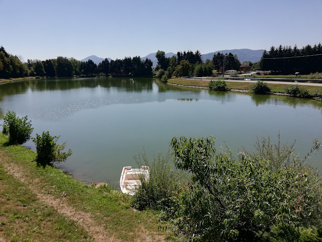 Preserje 9a, 3314 Braslovče