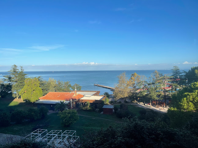 Bistro San Simon - Gastronomija in gostinstvo