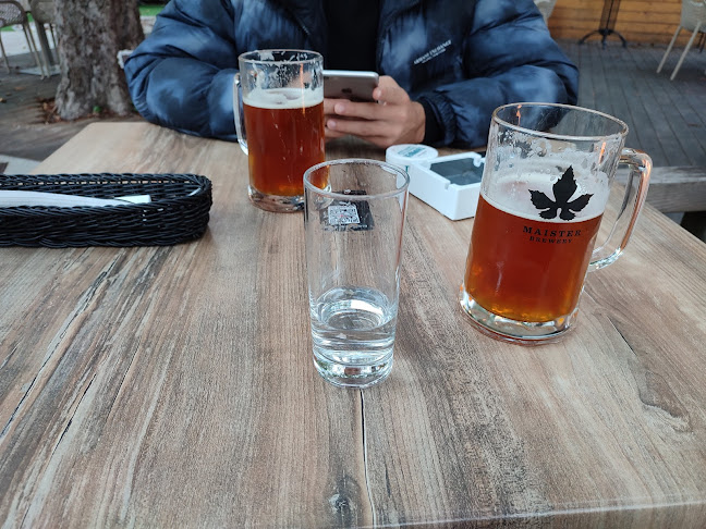 Comentarii opinii despre Bazen Bar & BBQ