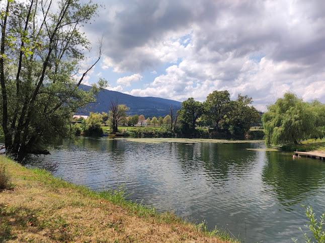 Štraus - Gastronomija in gostinstvo