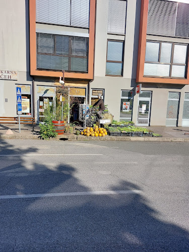 Kranjčeva ulica 14a, 9226 Moravske Toplice