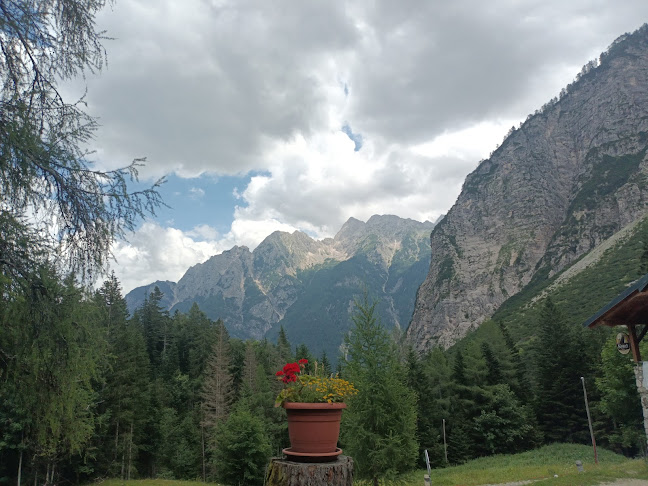 Koča na Gozdu - Kranjska Gora