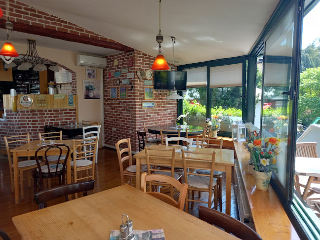 Pizzeria Gallus - Gastronomija in gostinstvo