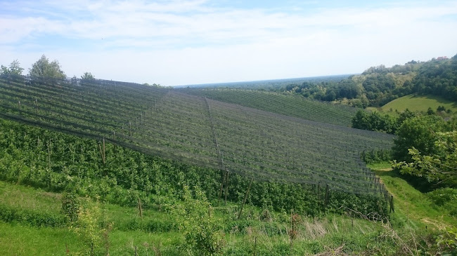 Bio Dan, proizvodnja Sadnih sokov d.o.o., Stročja vas 46, Ljutomer - Gastronomija in gostinstvo
