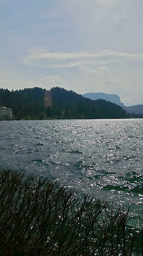 Špica Restavracija & Bar Bled - Gastronomija in gostinstvo