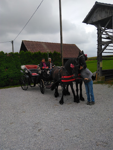 AMIGO BAR, Eva Sebanc s.p. - Novo mesto